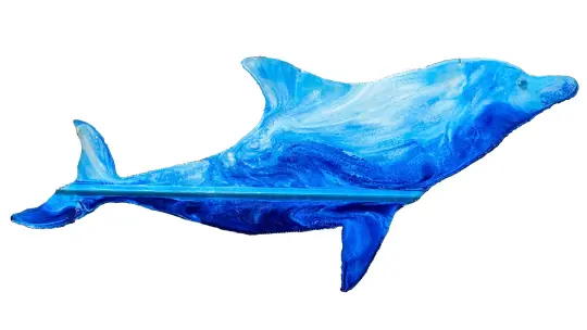 Dolphin