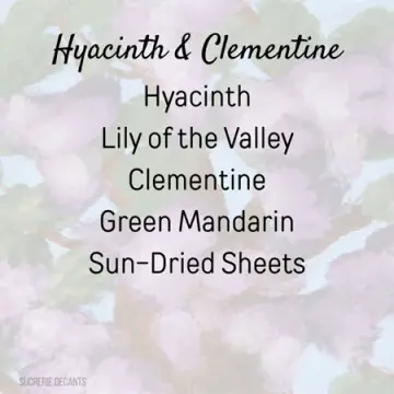 Hyacinth & Clementine