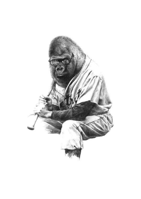 Gorilla