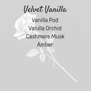 Velvet Vanilla