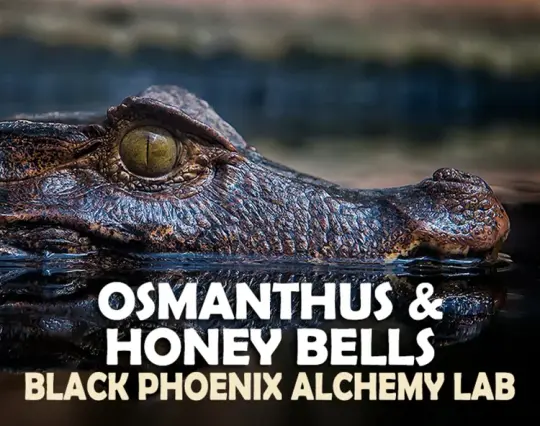 Osmanthus & Honey Bells Perfume Oil