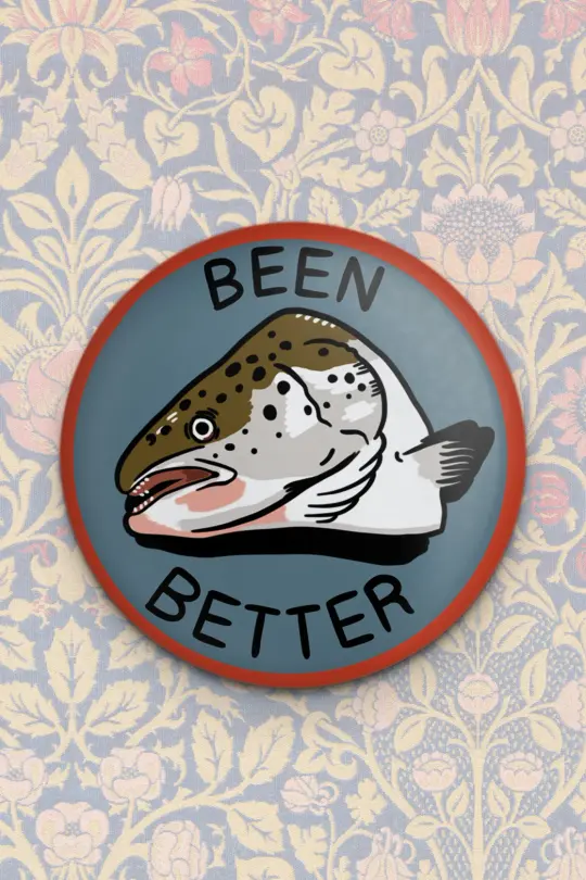 Been Better (Fish) Magnet