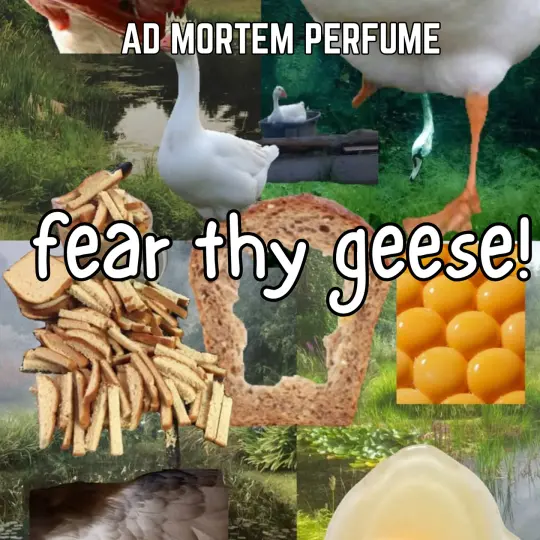 Fear Thy Geese Parfum