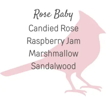 Rose Baby