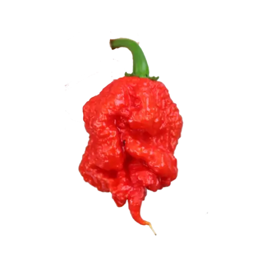 Carolina Reaper HP22B