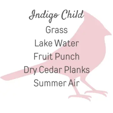 Indigo Child
