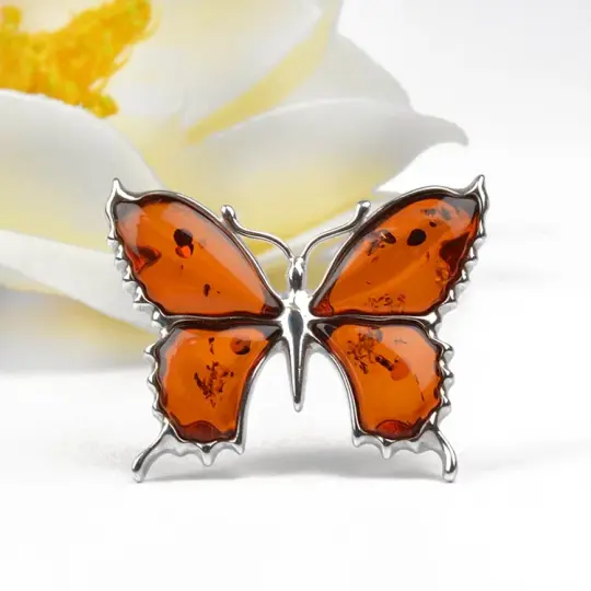 Beautiful Butterfly Pin