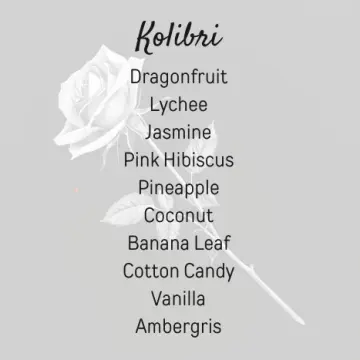 Kolibri