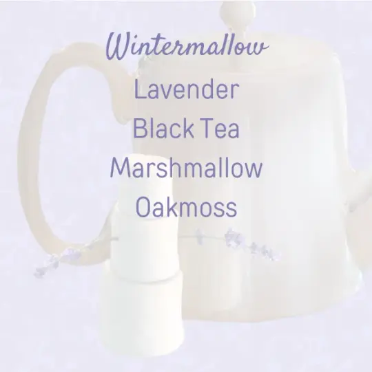 Wintermallow
