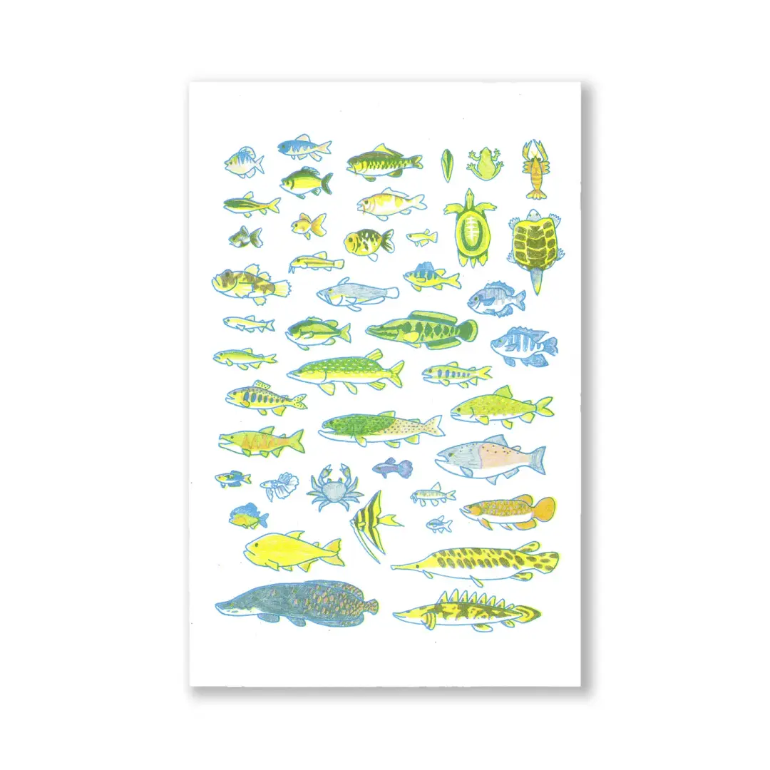 Freshwater Fishes