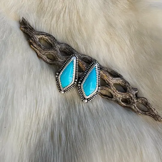 Indigo Earrings
