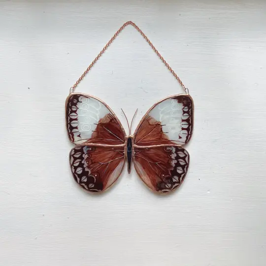Jungle Queen Butterfly