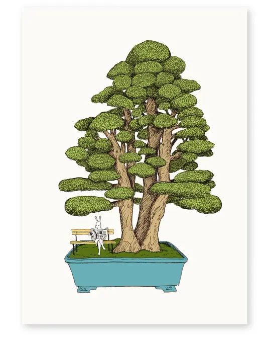 'Bonsai' A4 Limited Edition Art Print