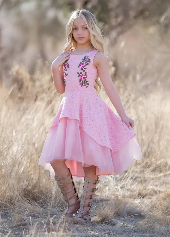 Amberlyn Dress in Blush