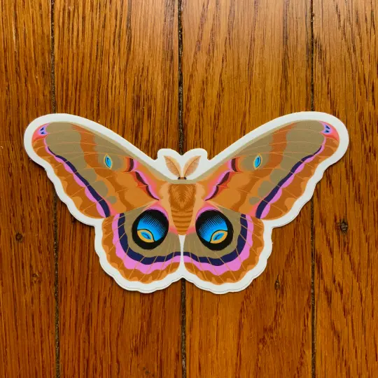 Polyphemus Moth 5" Decal