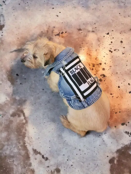 Black Flag band denim dog or cat battle vest