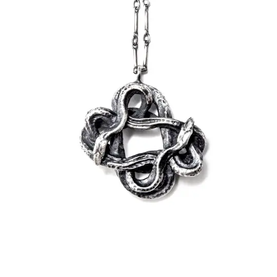 The Serpentine Portal: Sterling Silver Necklace