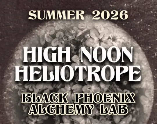 High Noon Heliotrope Perfume Oil