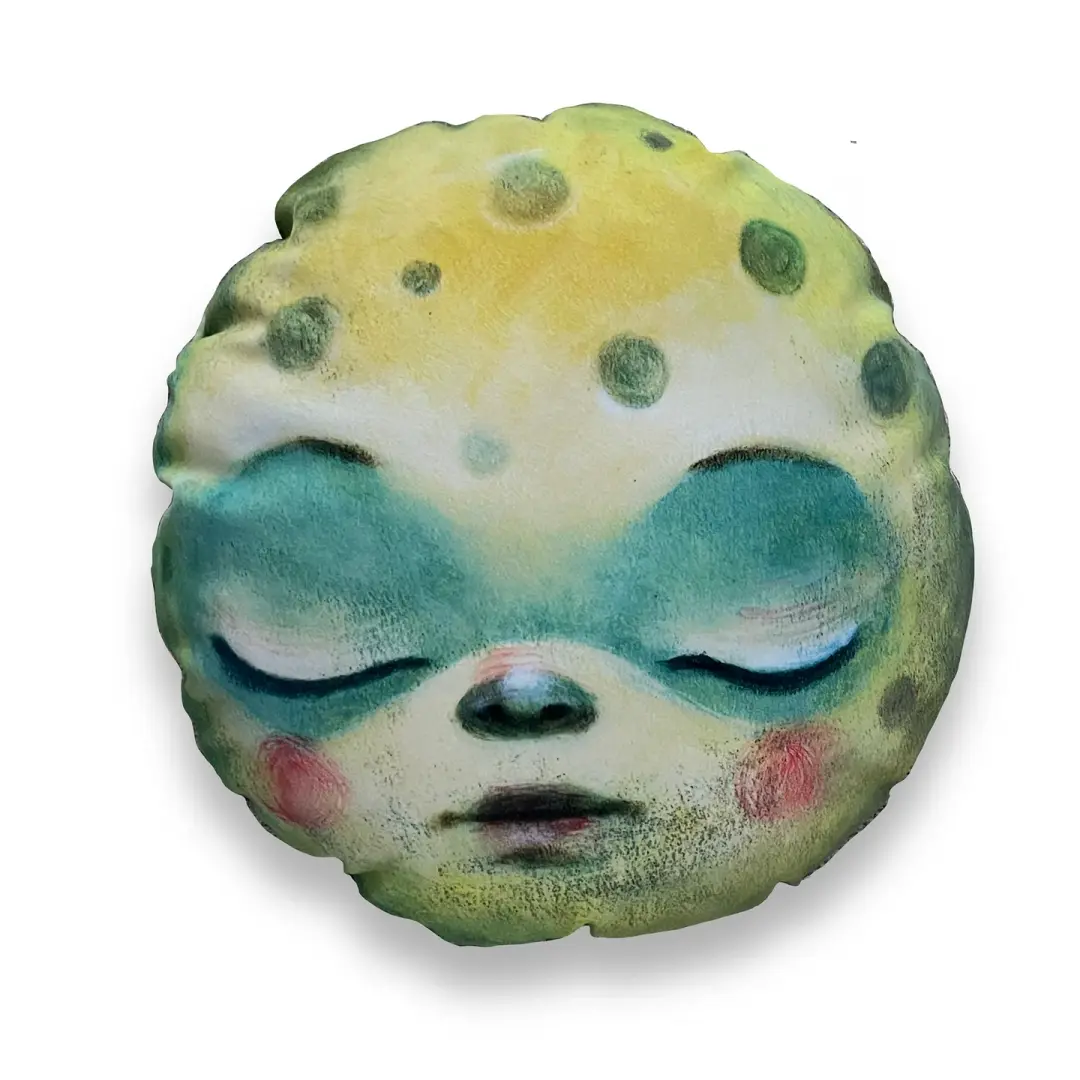 Two faced Moon Pillow