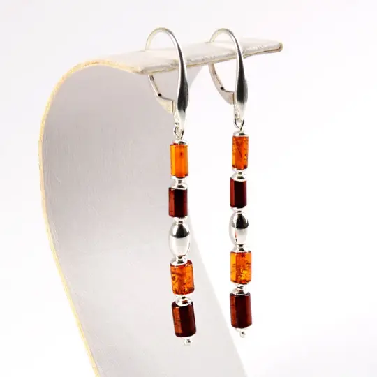 Simply Sleek Amber & Silver Earrings
