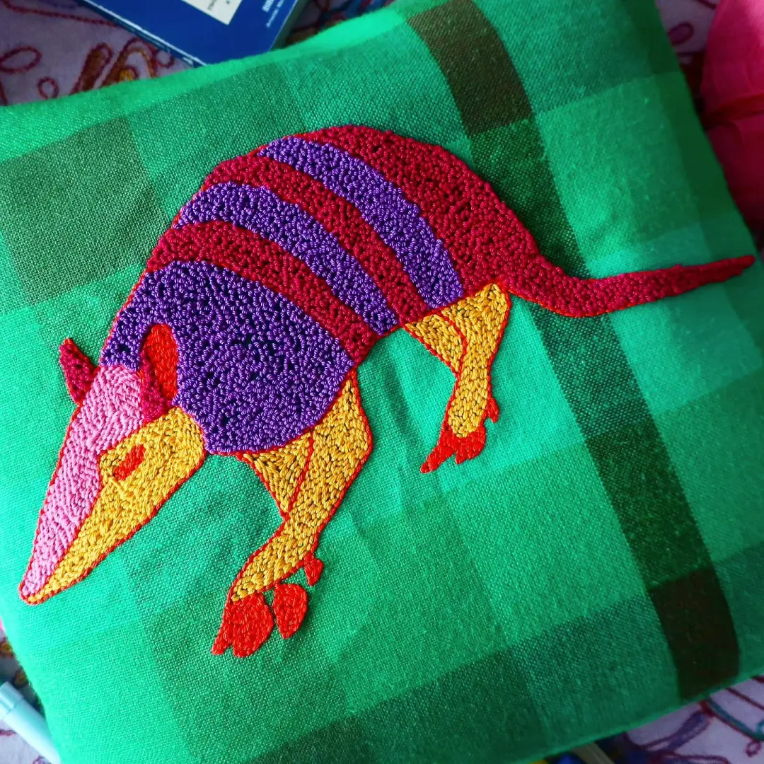 Armadillo case