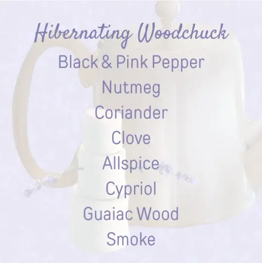 Hibernating Woodchuck