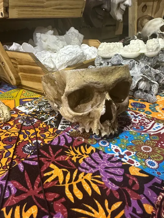 Half Skull