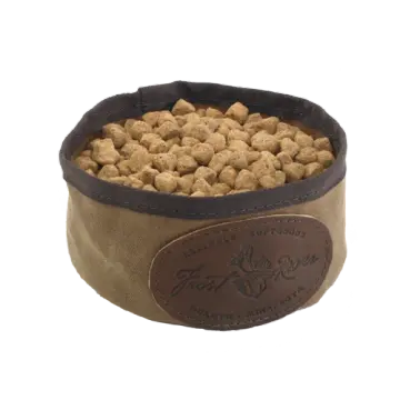 Dog Dish