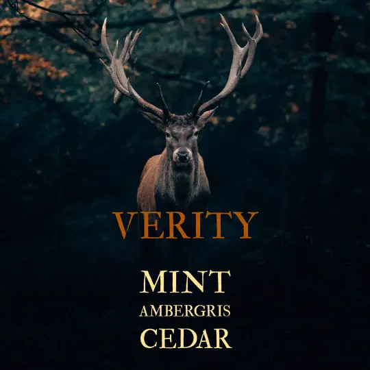 Verity - Beard/Hair Oil