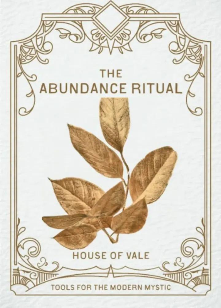 Abundance Ritual Kit