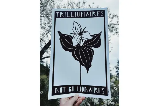 "Trilliumaires Not Billionaires" 11x17" Poster