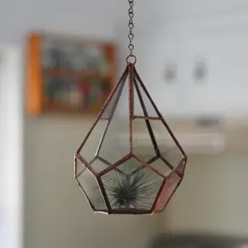 Teardrop Terrarium Kit, small