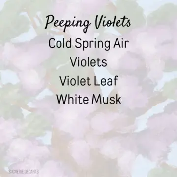Peeping Violets