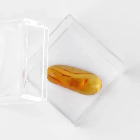 Natural Insect Amber for Collectors