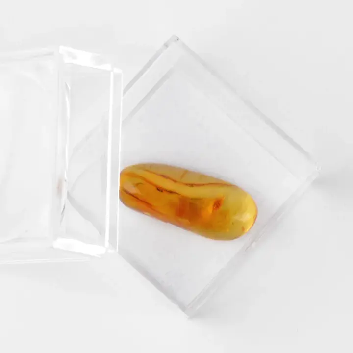 Natural Insect Amber for Collectors