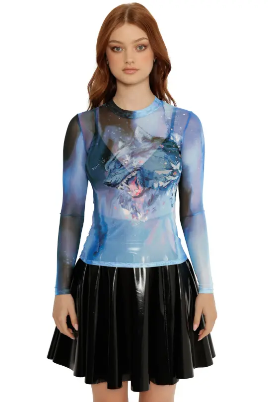 Celestial Beast Sheer High Neck Long Sleeve Top