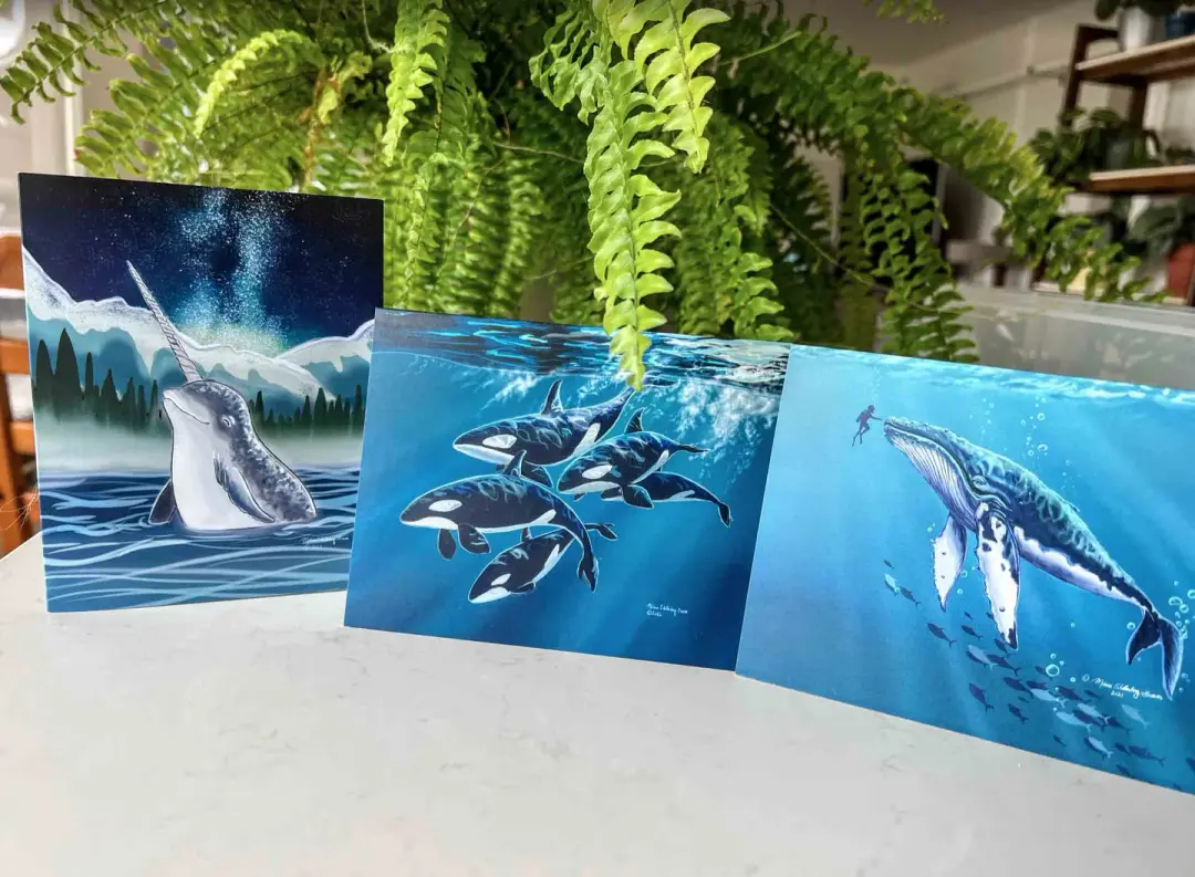 Whale Greeting Card Bundle - Pack of 3 | Save 10%