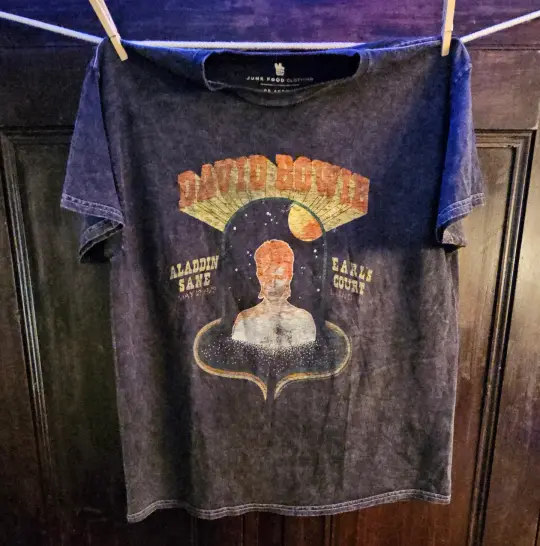 David Bowie Aladdin Sane junk food t-shirt L