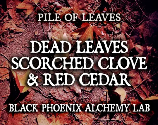 Dead Leaves, Scorched Clove, and Red Cedar Perfume Oil