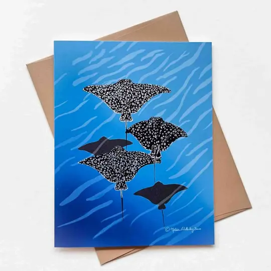Sting Ray Greeting Card, Wholesale 6 Pack