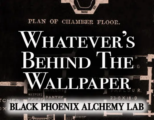 Whatever's Behind the Wallpaper Perfume Oil