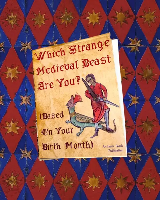 Strange Medieval Beast Zine