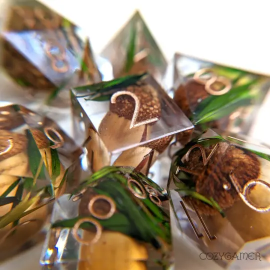 Acorn Sharp Edge Dice Set – 7-Piece with Real Acorns | Fennek & Finch