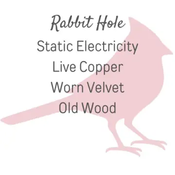 Rabbit Hole