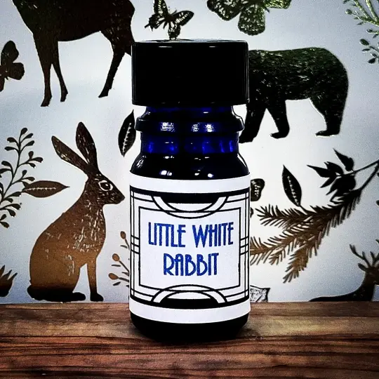 Little White Rabbit
