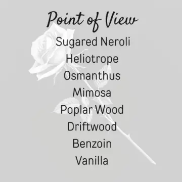 Point of View