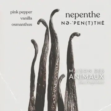 NEPENTHE