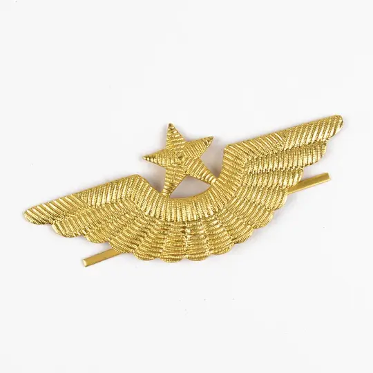 Pilot Star & Wings Pin