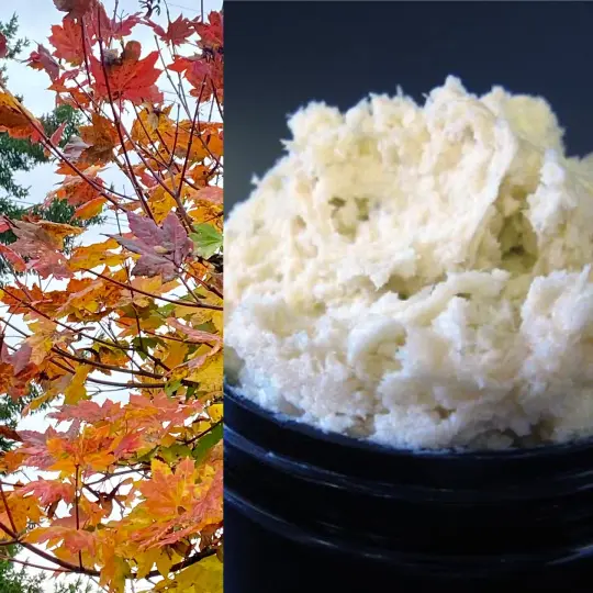 Fall Sugar Exfoliants