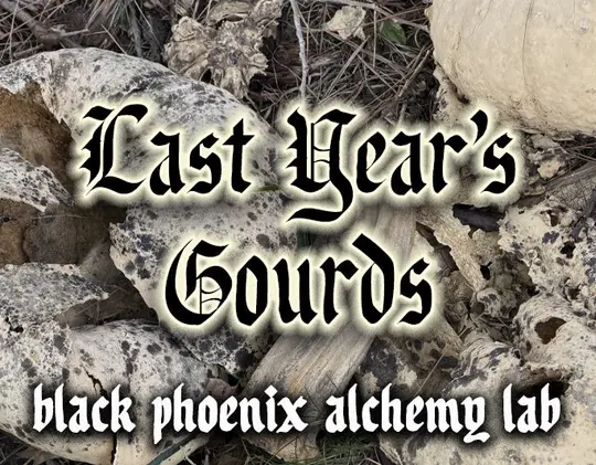 Last Year's Gourds Perfume Oil